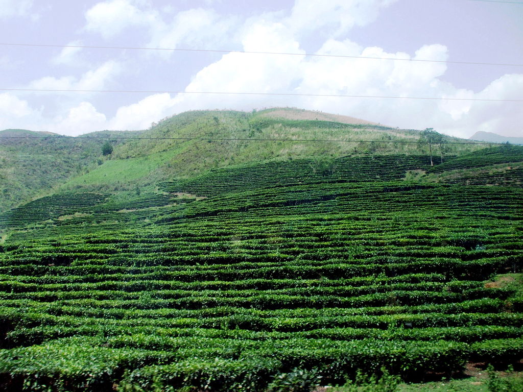 Thuê Xe Đi Tỉnh Phú Thọ