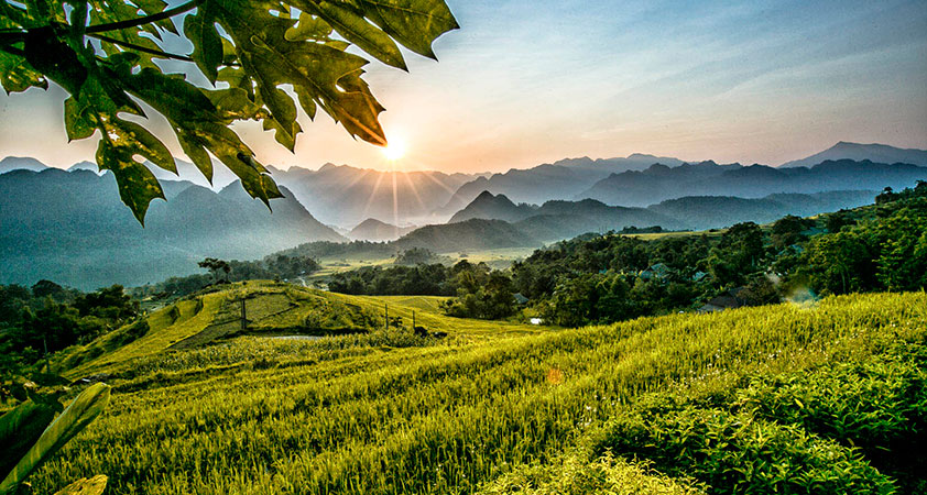 Thuê Xe Đi Tỉnh Thanh Hóa