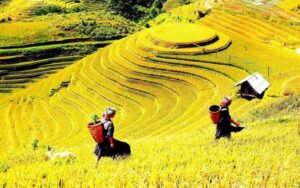 Thuê Xe Đi Tỉnh Yên Bái