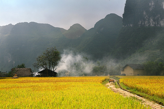 Thuê Xe Đi Tỉnh Hà Giang