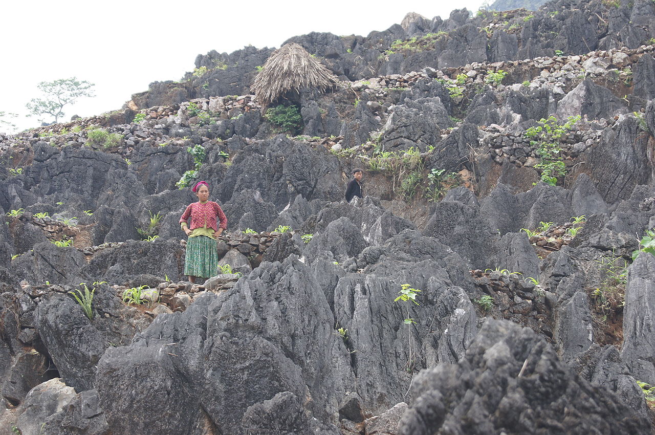 Thuê Xe Đi Tỉnh Hà Giang