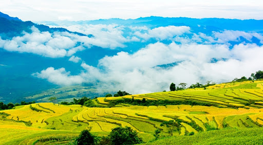 Đặt Xe Đi Tỉnh Tuyên Quang