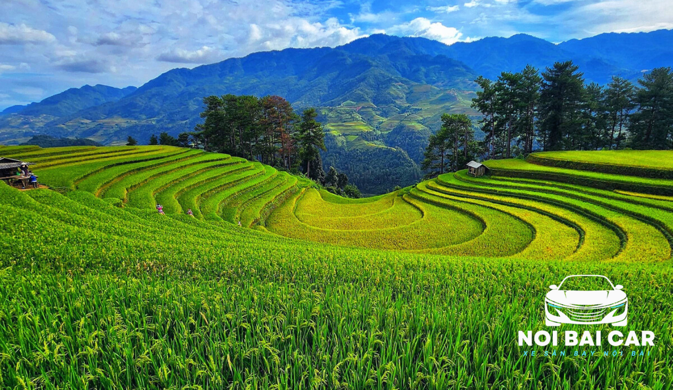 Thuê Xe Du Lịch Yên Bái