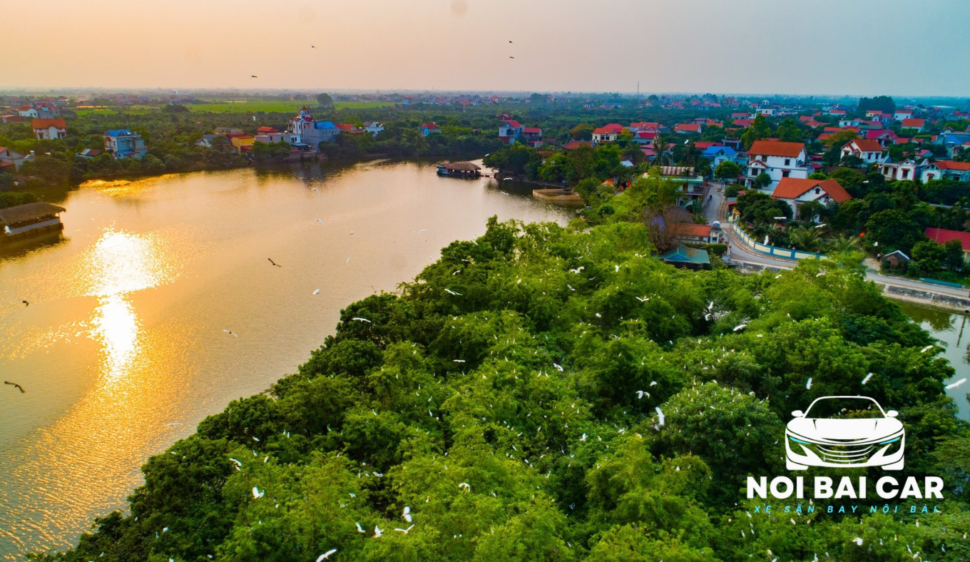 Đảo Cò Chi Lăng Nam