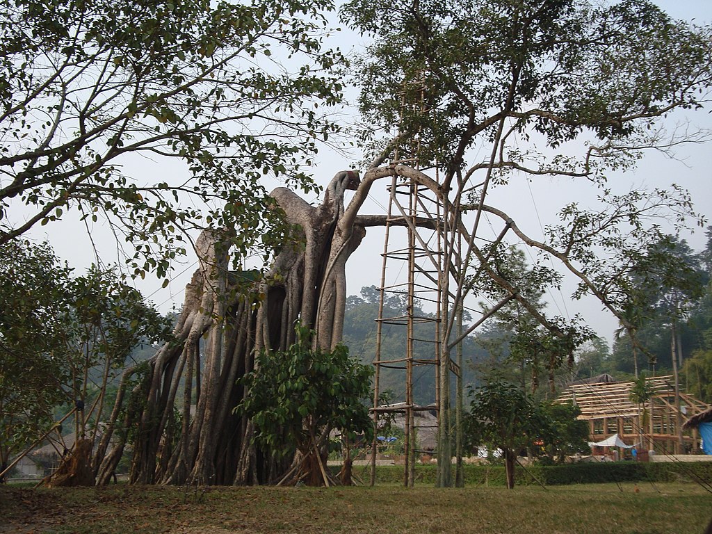 Đặt Xe Đi Tỉnh Tuyên Quang