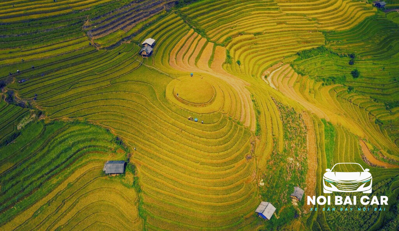 Mù Cang Chải