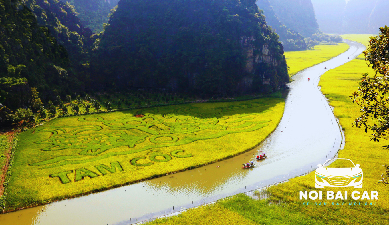 Thuê Xe Sân Bay Ninh Bình Nội Bài Giá Rẻ - Dịch Vụ Chất Lượng, Uy Tín